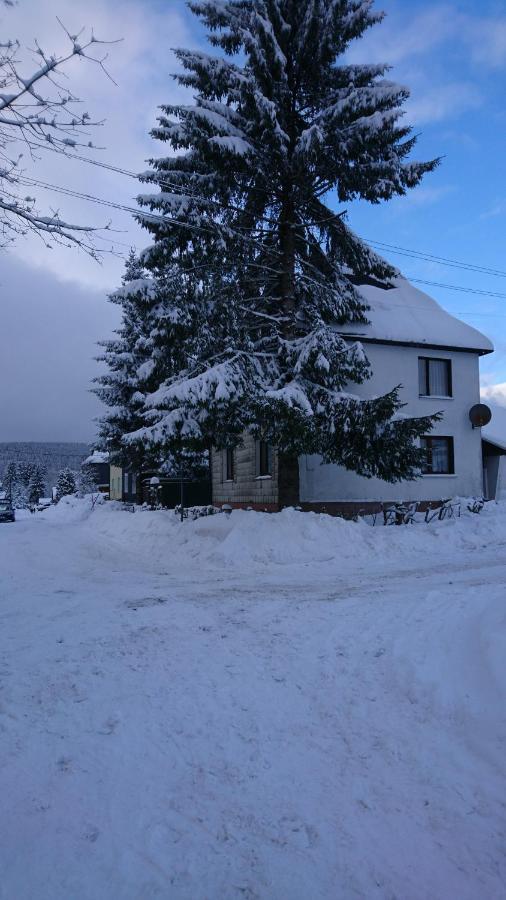 Haus Hasenmueller Apartment Schmiedefeld am Rennsteig Exterior foto